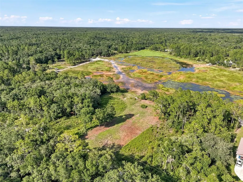 100 Berryhill Drive Webster FL 33597