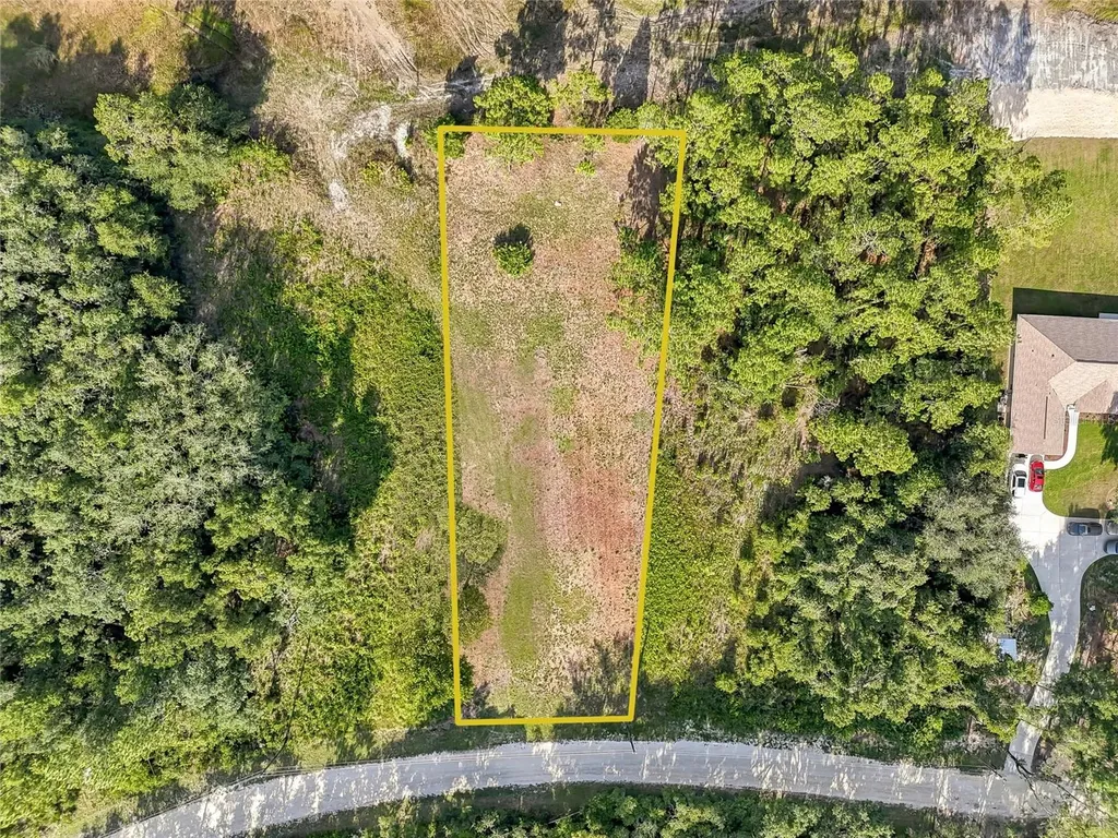100 Berryhill Drive Webster FL 33597