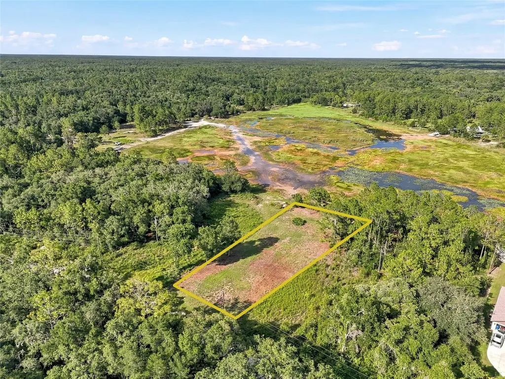 100 Berryhill Drive Webster FL 33597