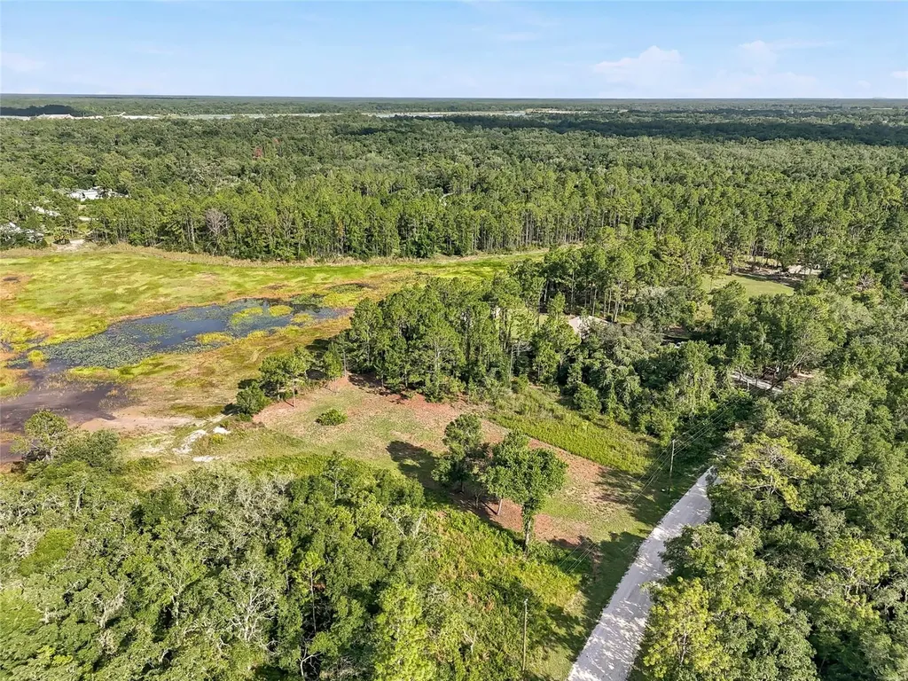 100 Berryhill Drive Webster FL 33597