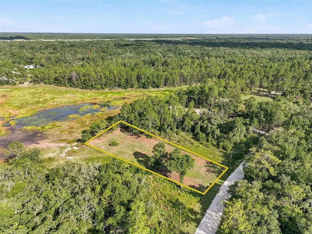 100 Berryhill Drive Webster FL 33597