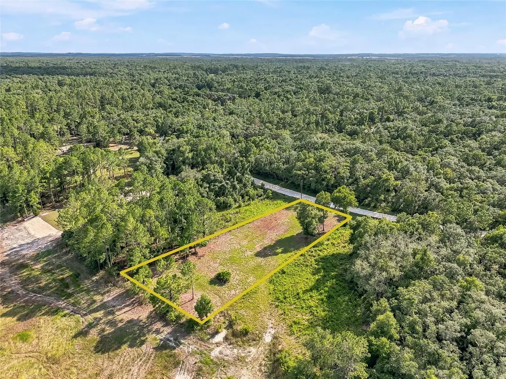 100 Berryhill Drive Webster FL 33597