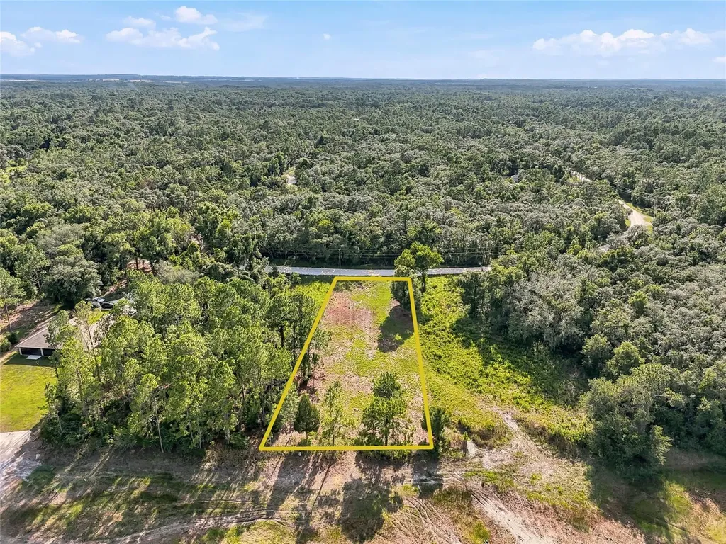 100 Berryhill Drive Webster FL 33597