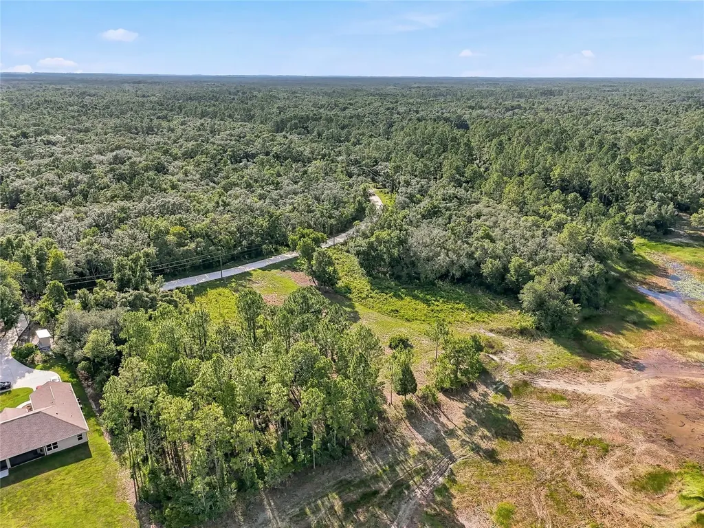100 Berryhill Drive Webster FL 33597