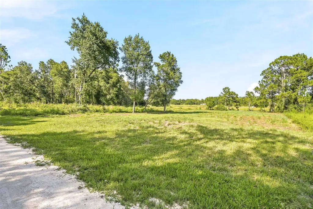 100 Berryhill Drive Webster FL 33597