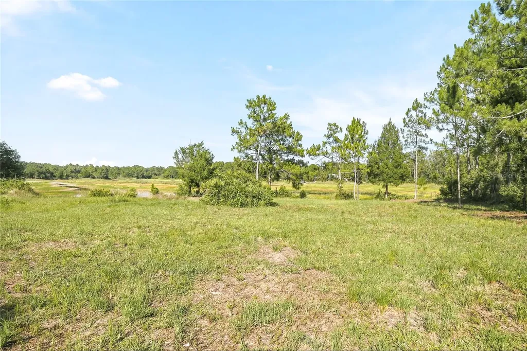 100 Berryhill Drive Webster FL 33597