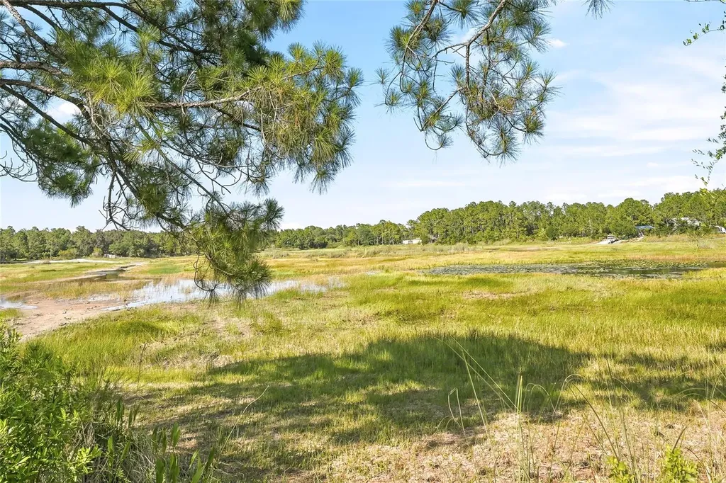 100 Berryhill Drive Webster FL 33597