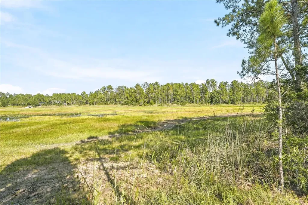100 Berryhill Drive Webster FL 33597