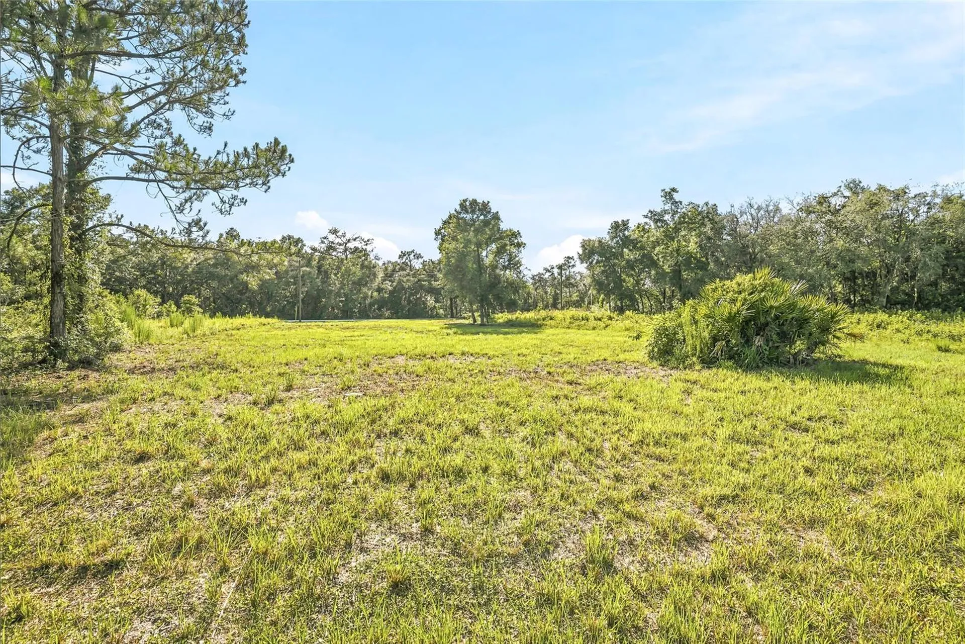 100 Berryhill Drive Webster FL 33597