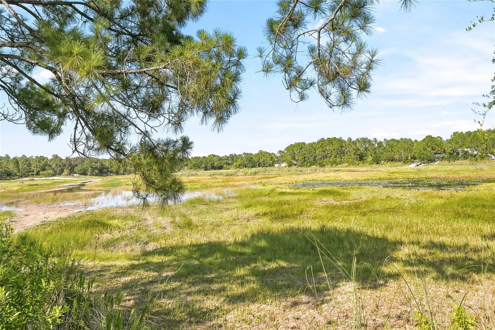 100 Berryhill Drive Webster FL 33597