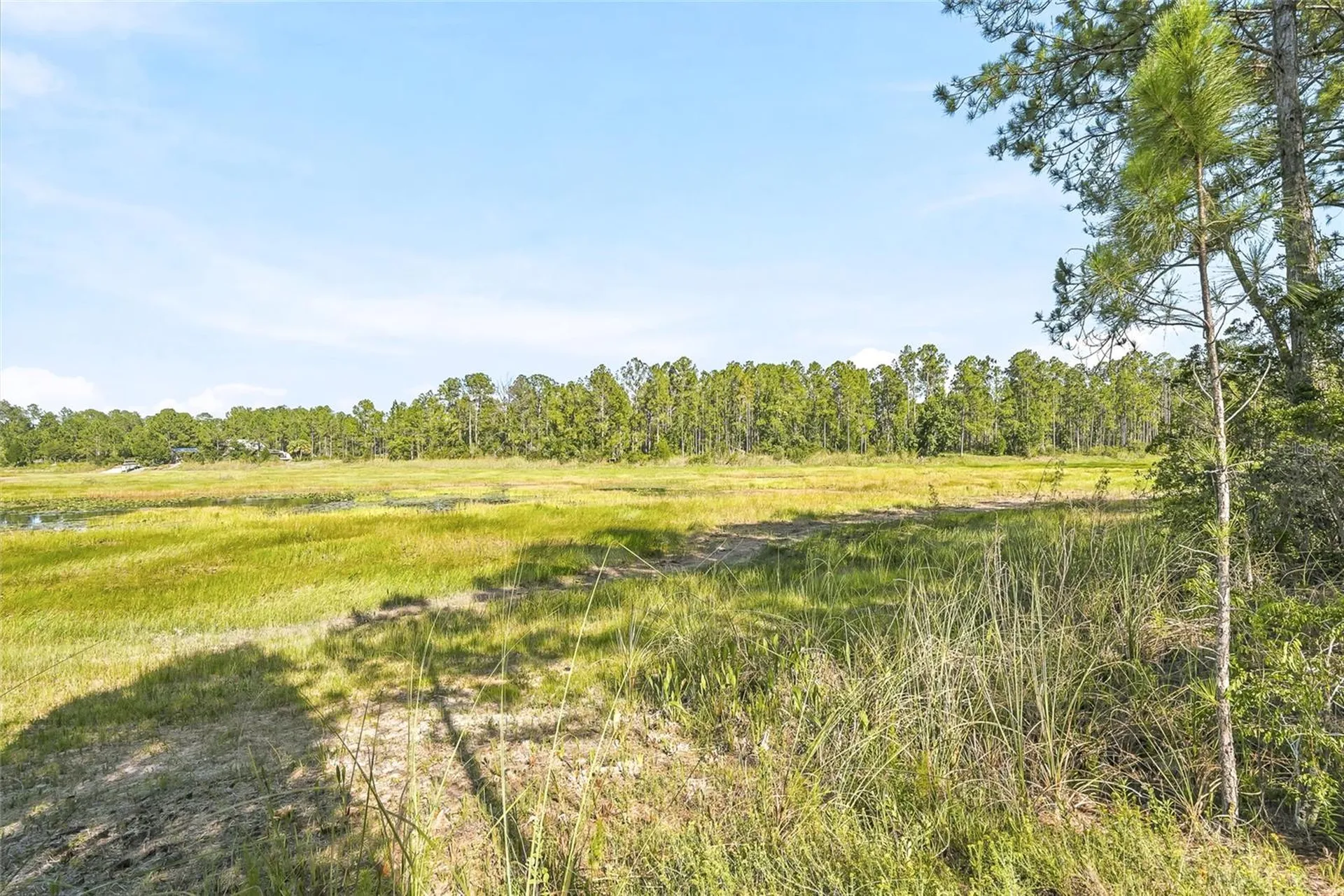 100 Berryhill Drive Webster FL 33597