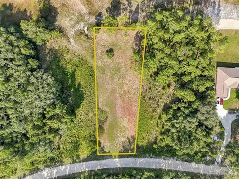 100 Berryhill Drive Webster FL 33597