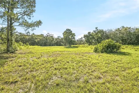 100 Berryhill Drive Webster FL 33597
