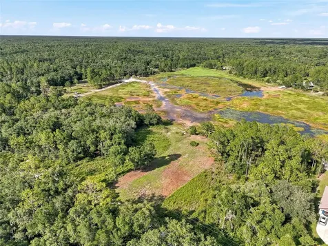 100 Berryhill Drive Webster FL 33597