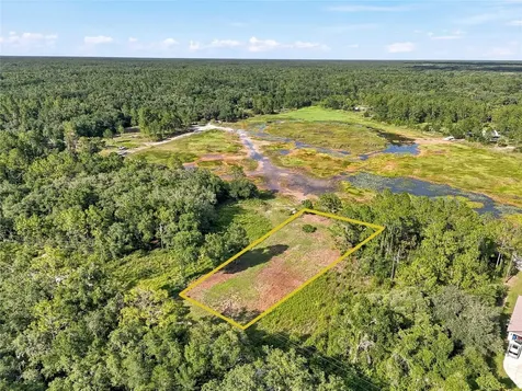 100 Berryhill Drive Webster FL 33597