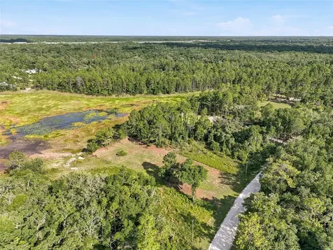100 Berryhill Drive Webster FL 33597