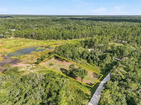 100 Berryhill Drive Webster FL 33597