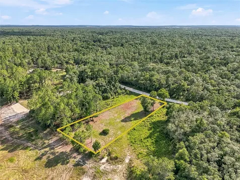 100 Berryhill Drive Webster FL 33597