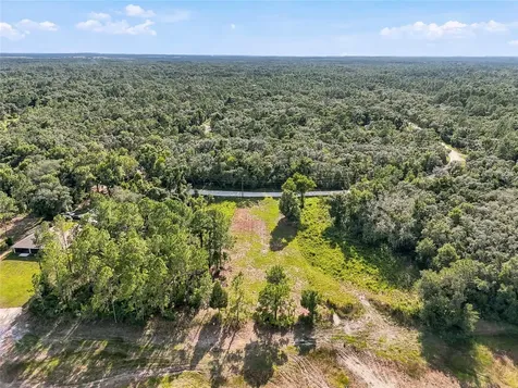 100 Berryhill Drive Webster FL 33597