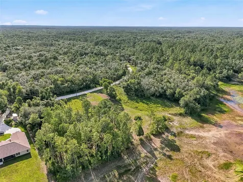 100 Berryhill Drive Webster FL 33597