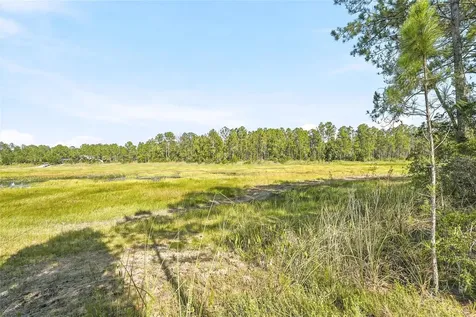 100 Berryhill Drive Webster FL 33597