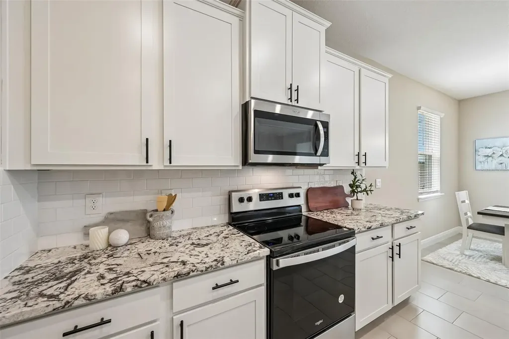 178 Mangrove Manor Drive Apollo Beach FL 33572