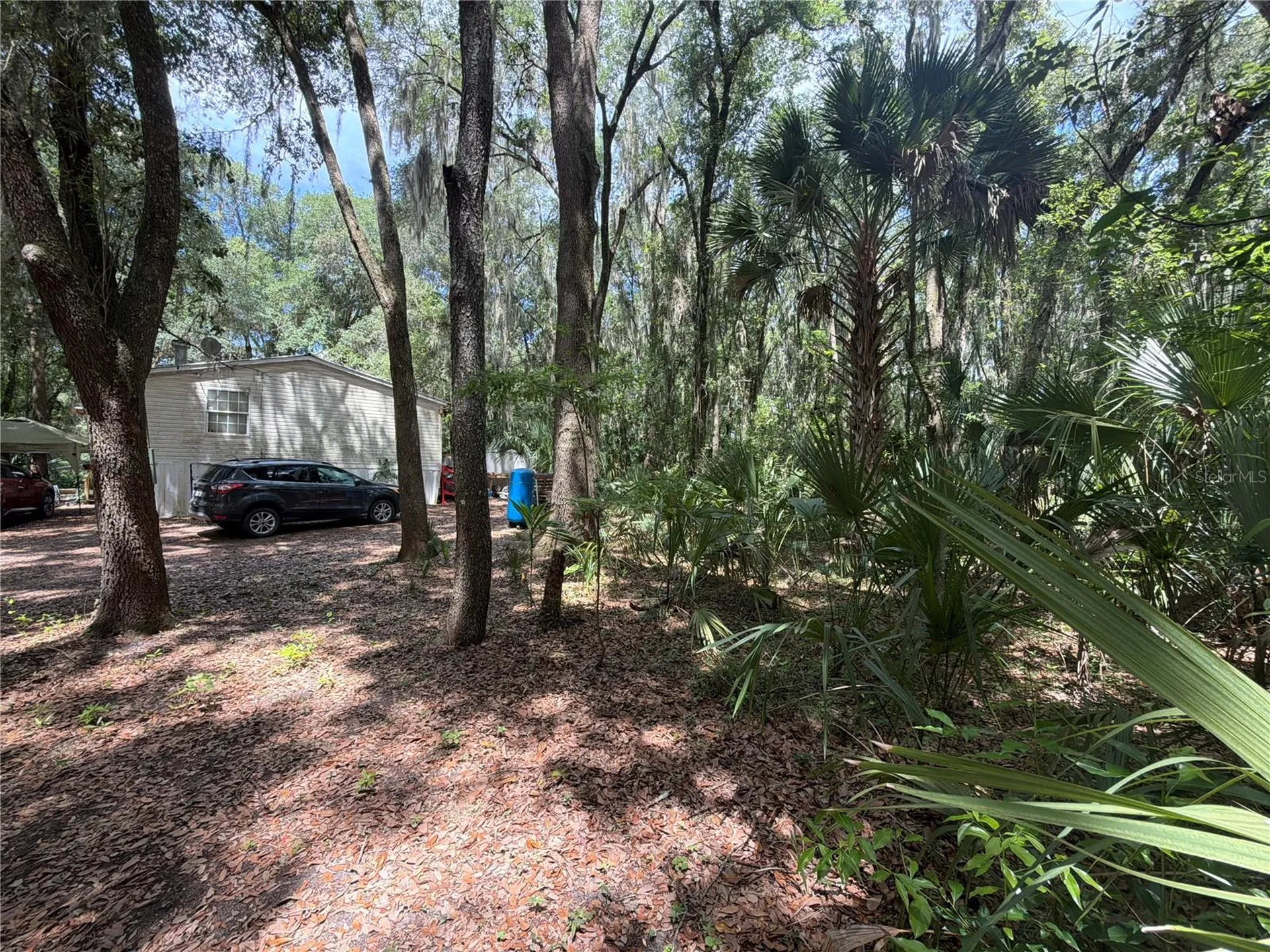 191 Little Orange Lake Drive Hawthorne FL 32640