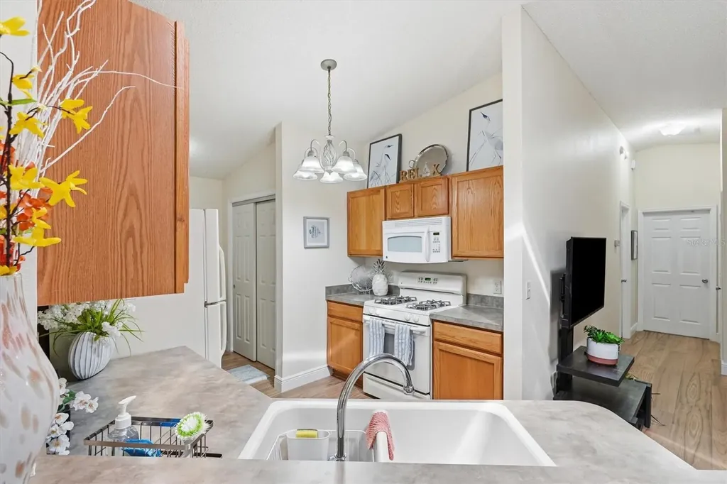 2484 Kingstree Place The Villages FL 32162