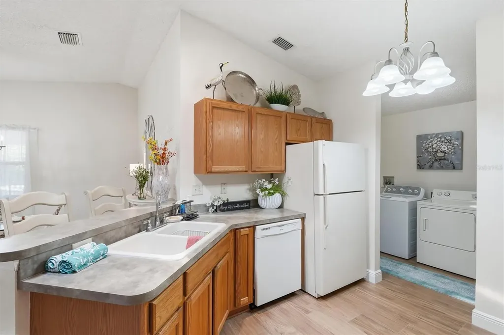 2484 Kingstree Place The Villages FL 32162