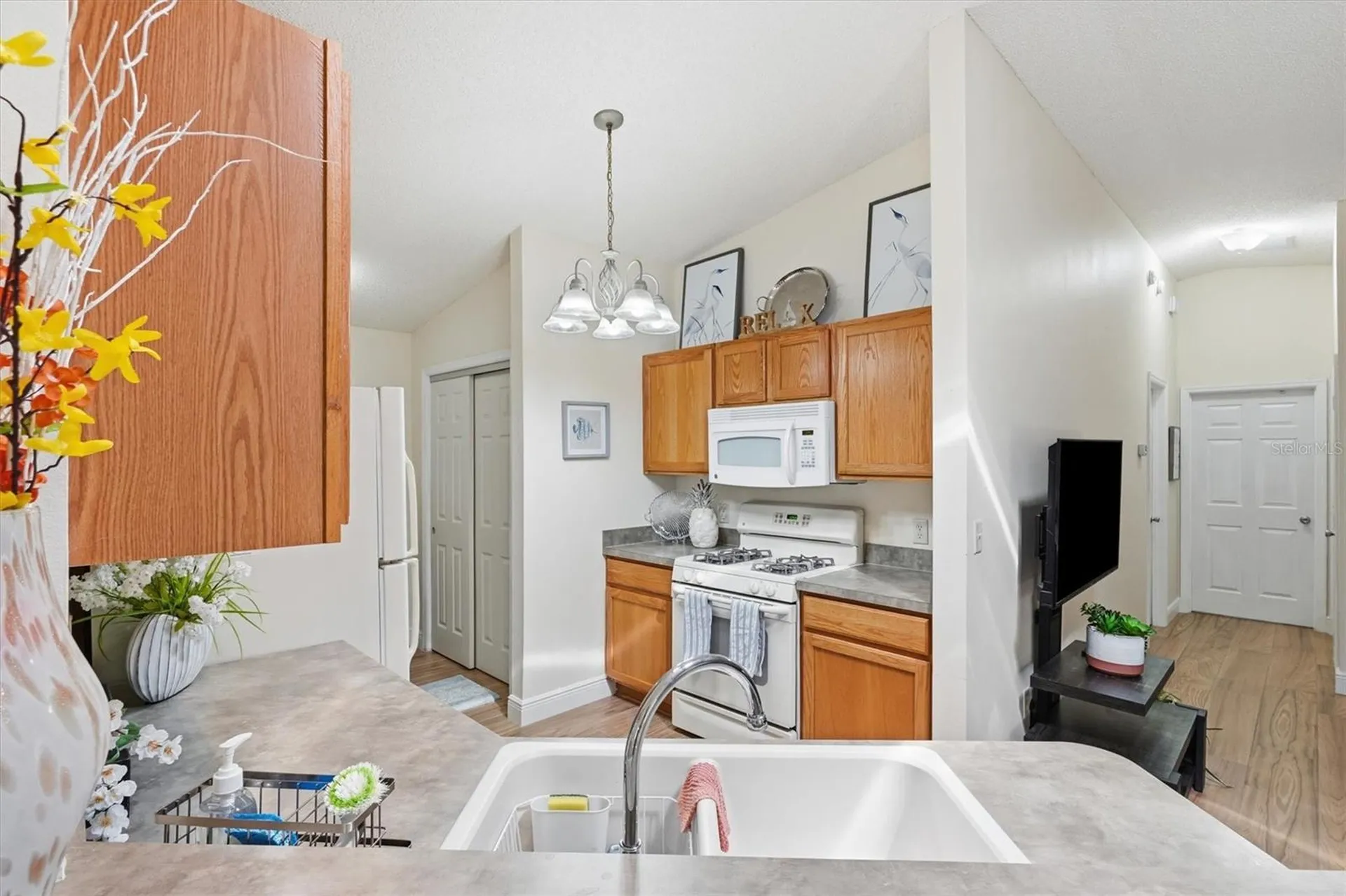 2484 Kingstree Place The Villages FL 32162