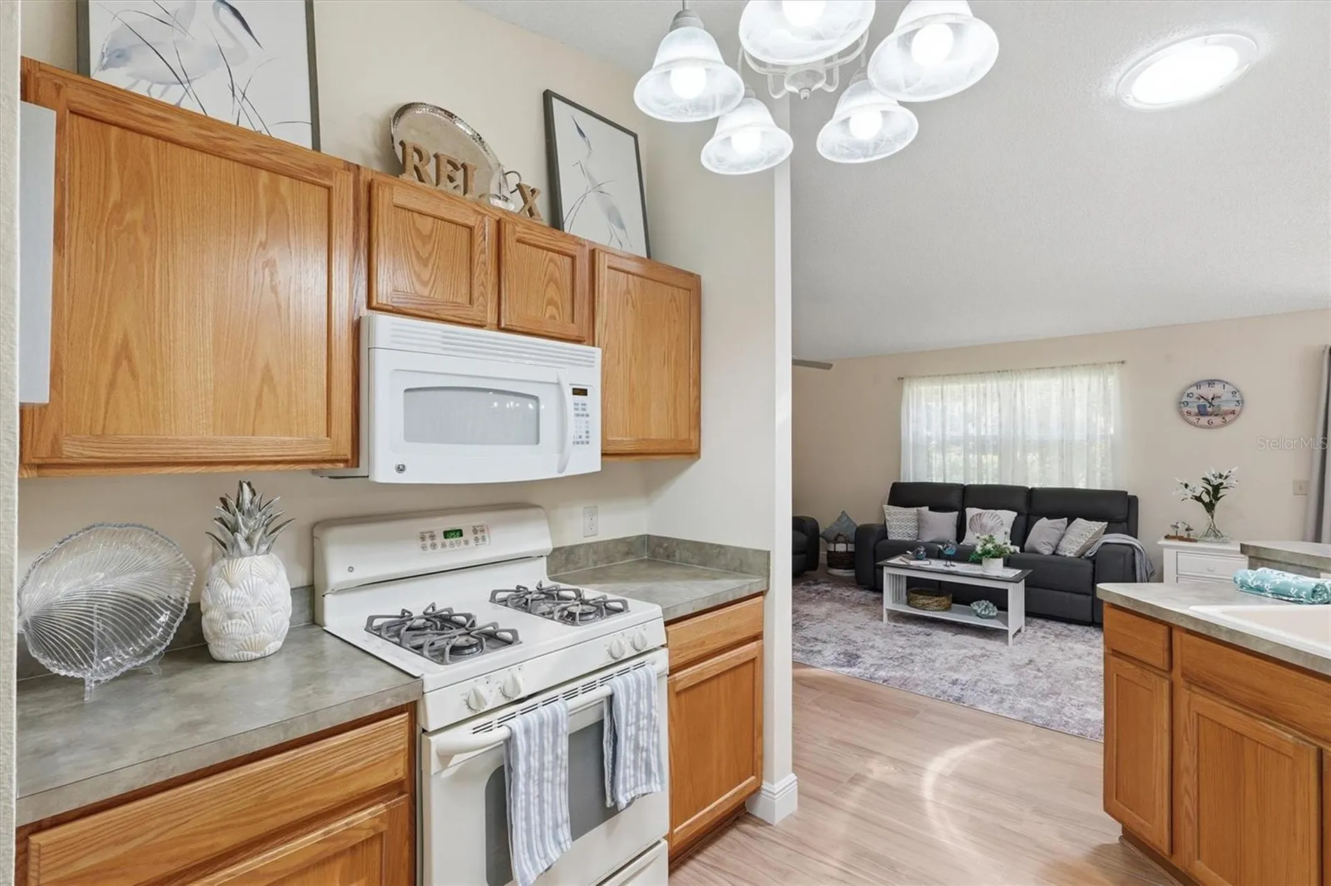 2484 Kingstree Place The Villages FL 32162