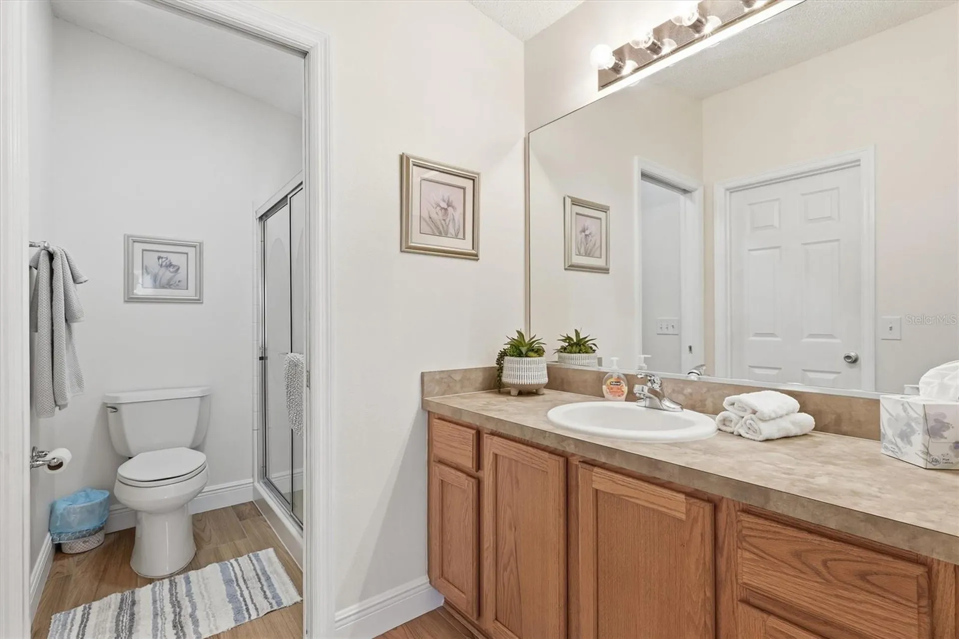 2484 Kingstree Place The Villages FL 32162