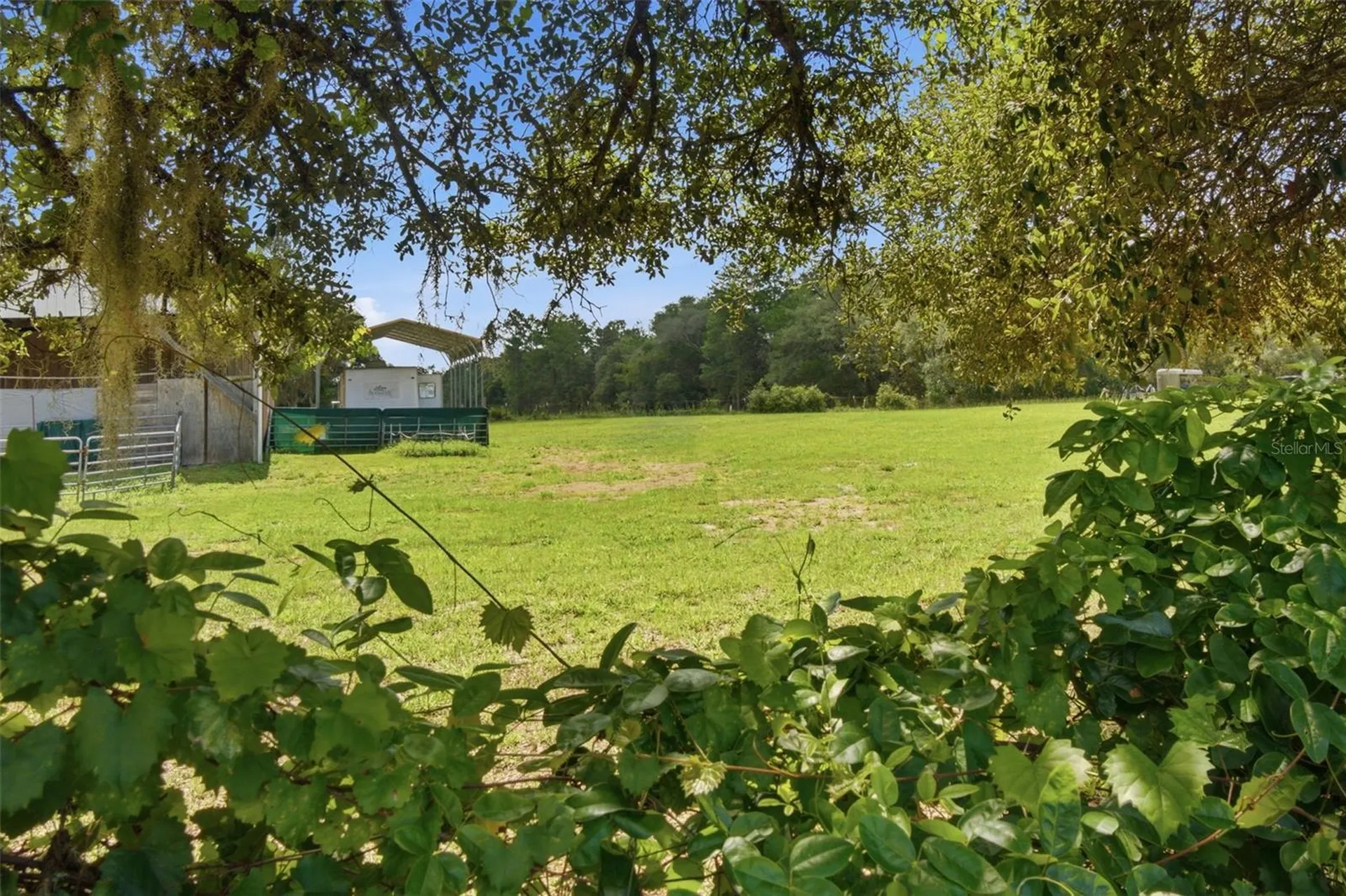 32416 Pine Road Eustis FL 32736