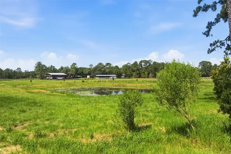 32416 Pine Road Eustis FL 32736