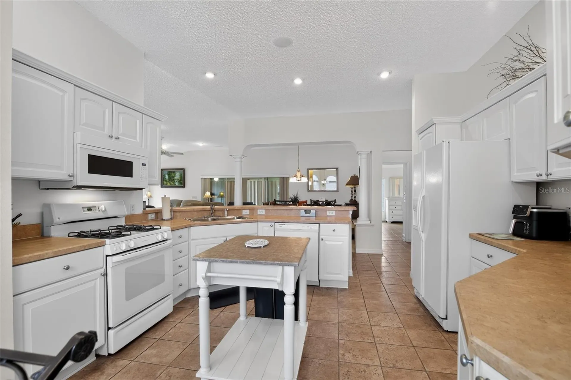 17336 SE 80th Turnbull Court The Villages FL 32162