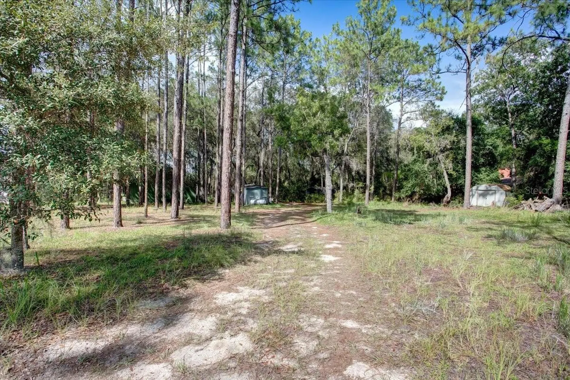 235 Ashley Lake Drive Melrose FL 32666