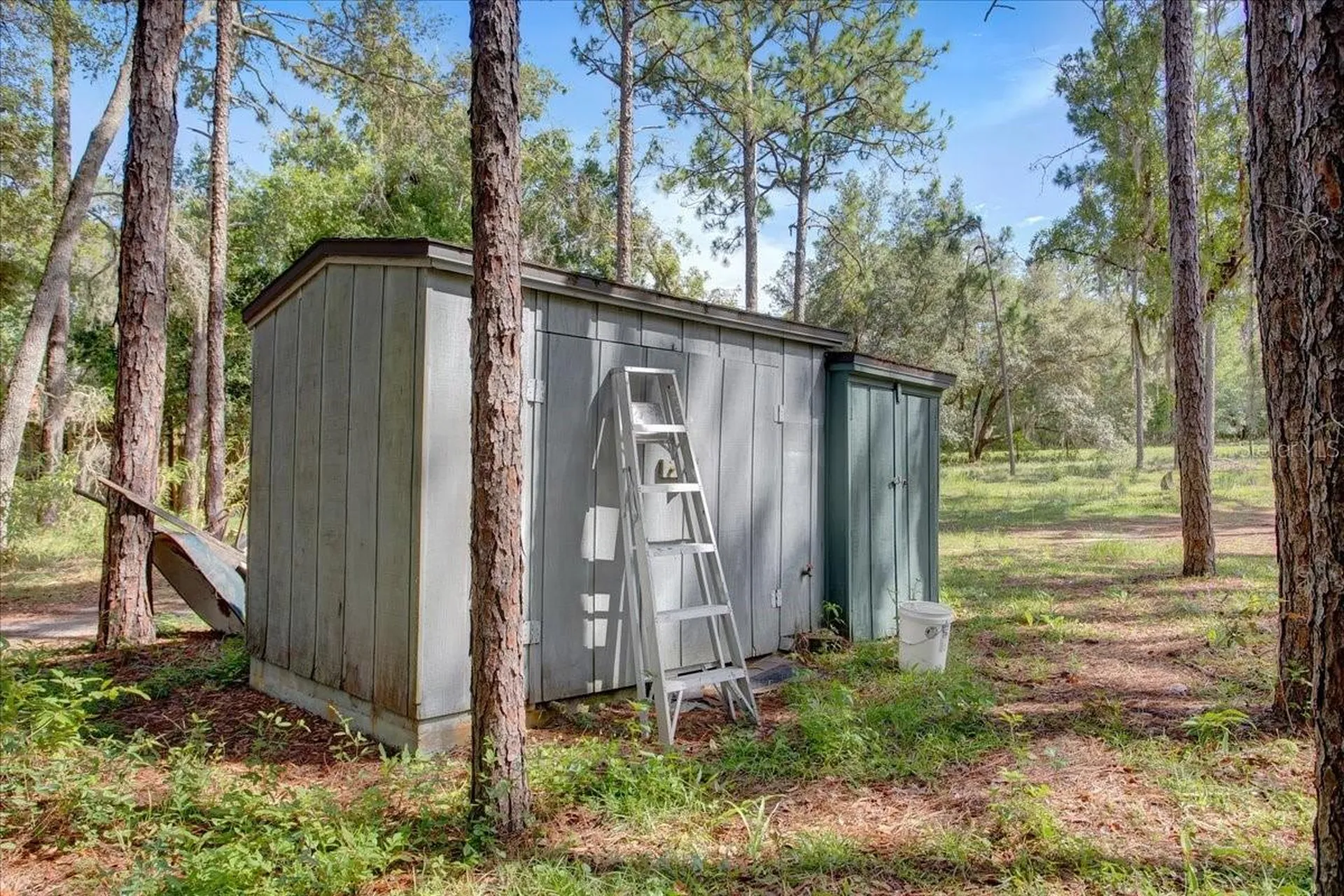 235 Ashley Lake Drive Melrose FL 32666