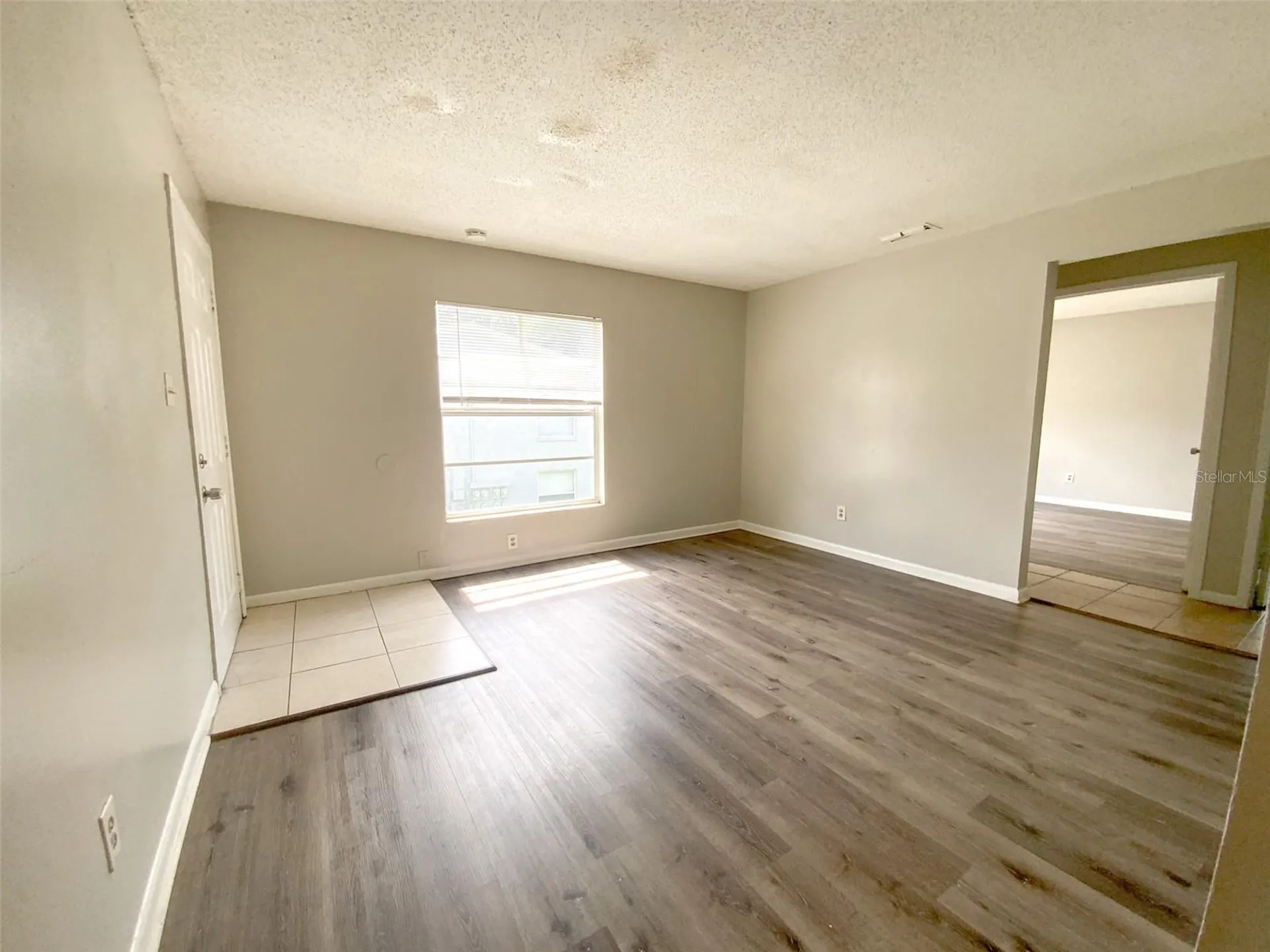 2205 Irene Street Lutz FL 33549