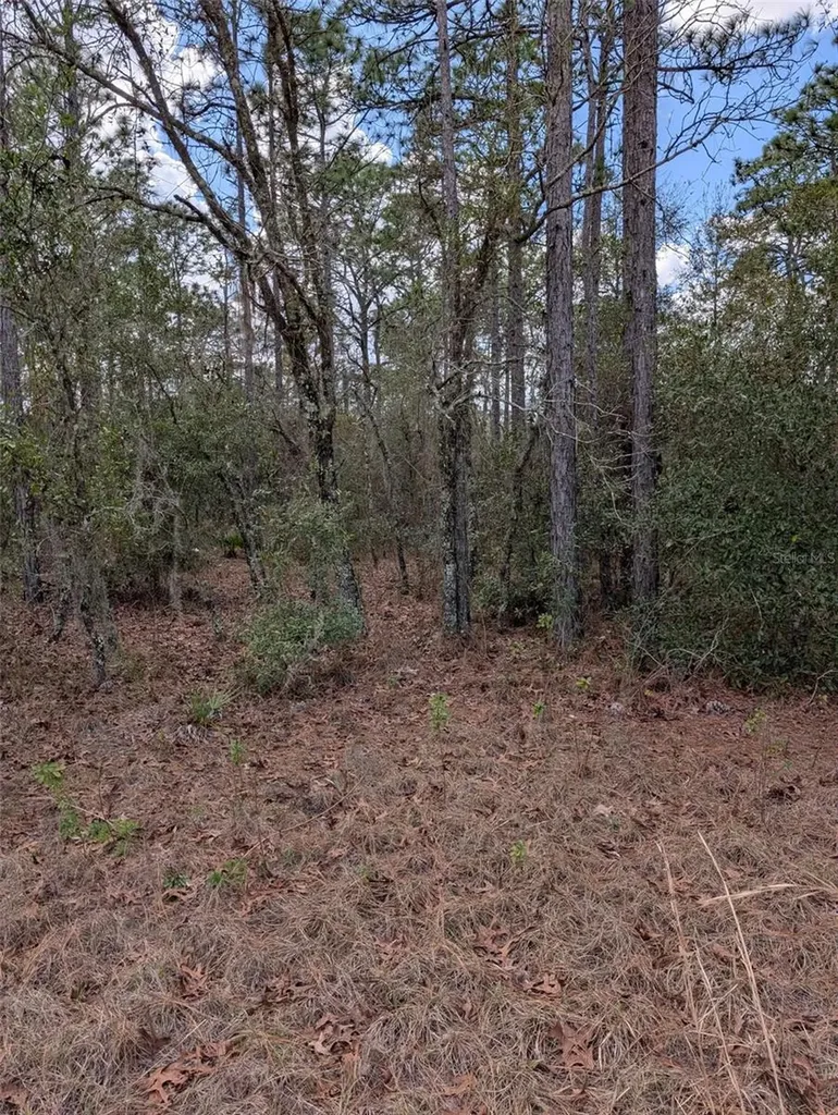 0 SW 90th Street Dunnellon FL 34432