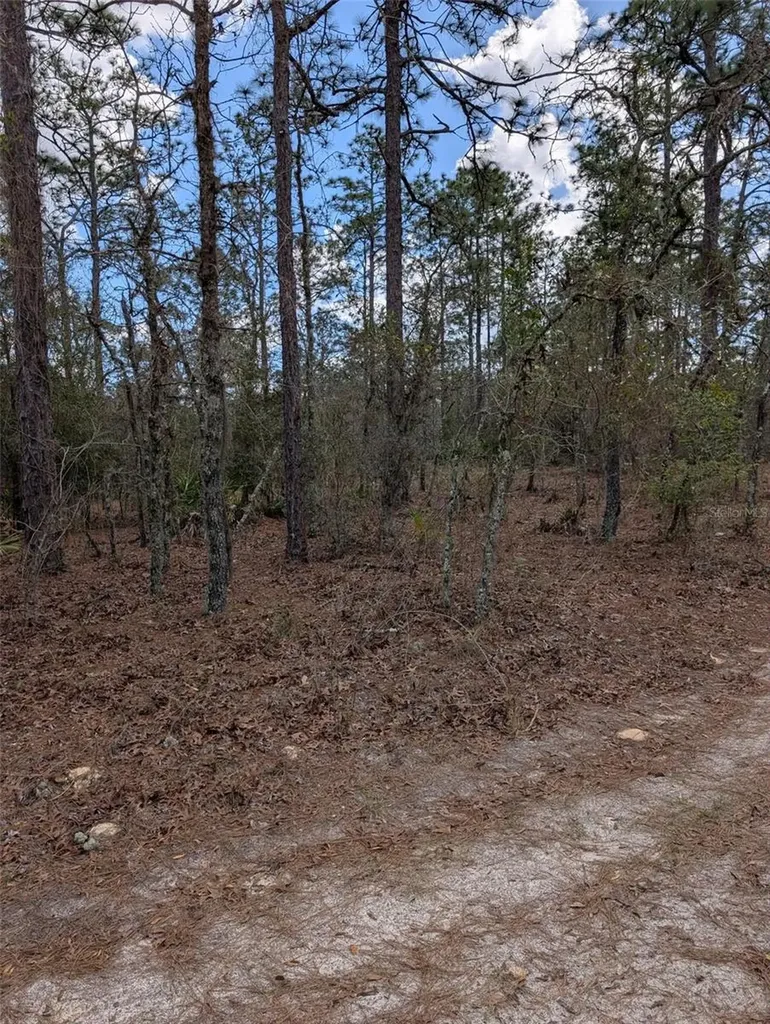 0 SW 90th Street Dunnellon FL 34432
