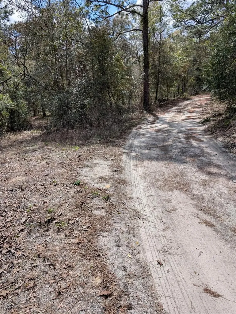 0 SW 90th Street Dunnellon FL 34432
