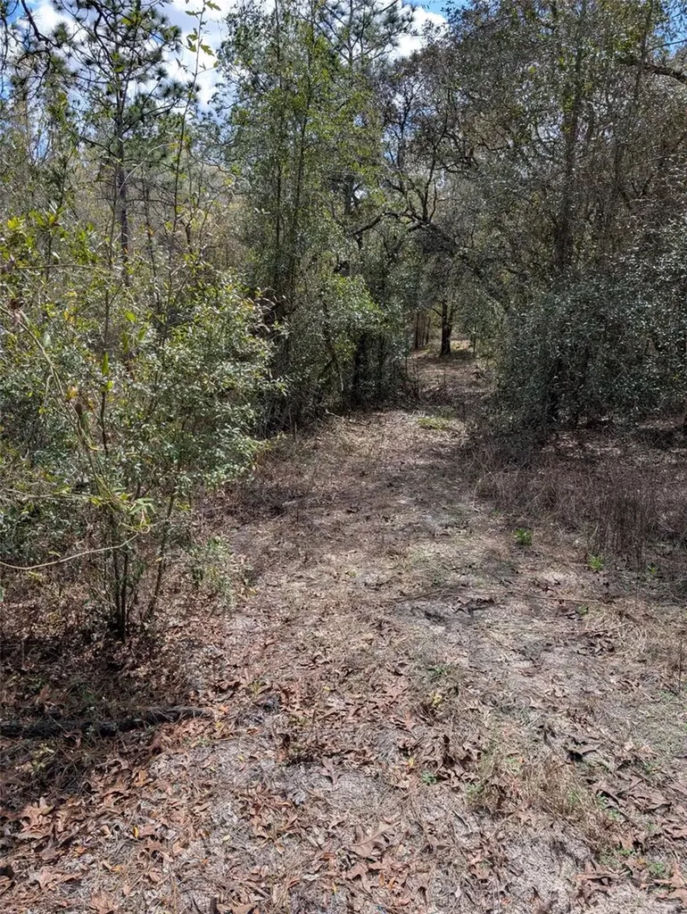 0 SW 90th Street Dunnellon FL 34432