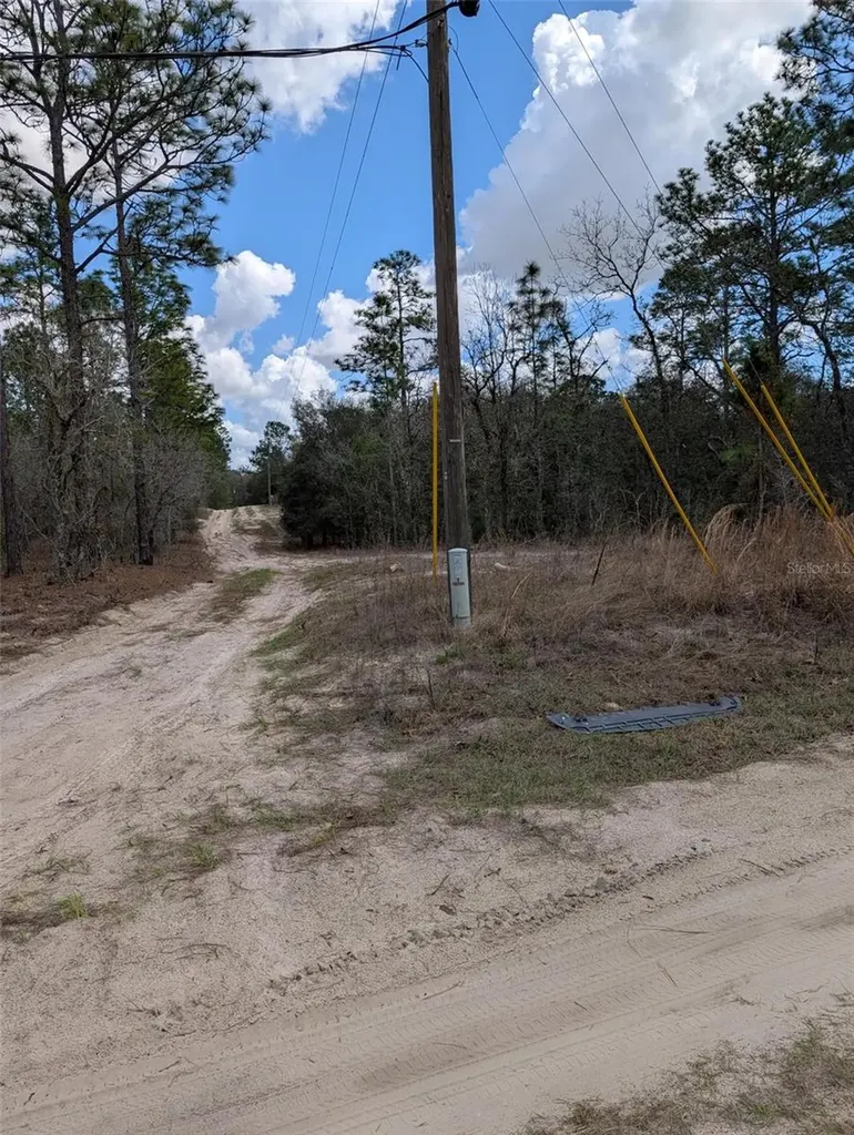 0 SW 90th Street Dunnellon FL 34432