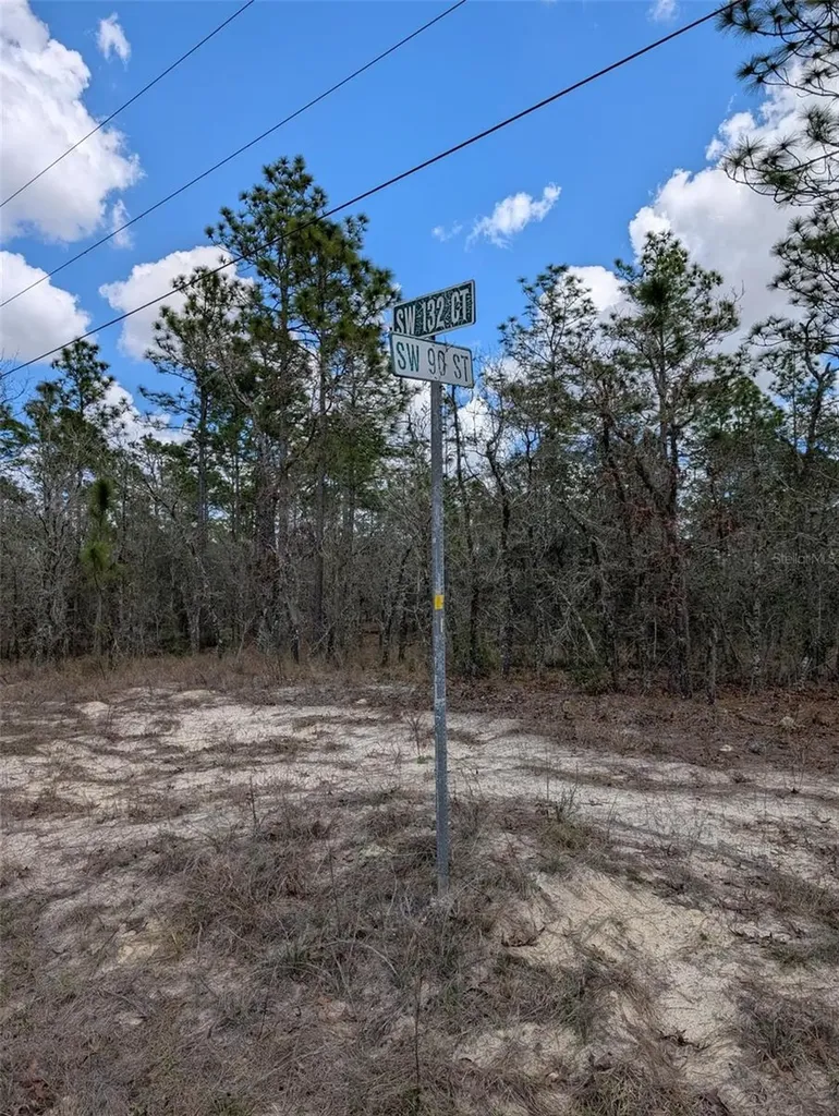 0 SW 90th Street Dunnellon FL 34432