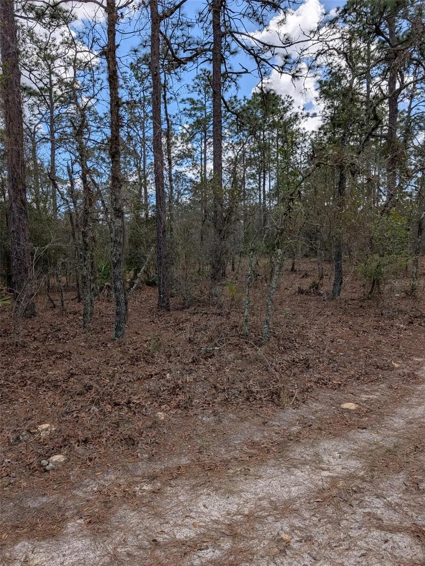 0 SW 90th Street Dunnellon FL 34432