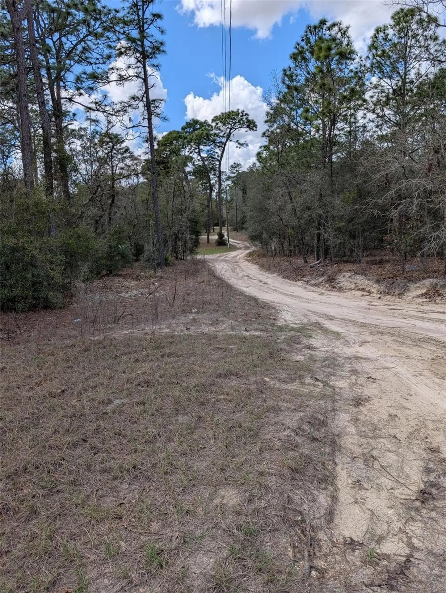 0 SW 90th Street Dunnellon FL 34432