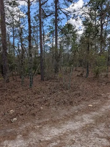 0 SW 90th Street Dunnellon FL 34432
