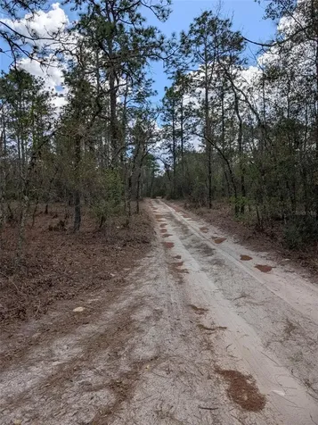 0 SW 90th Street Dunnellon FL 34432