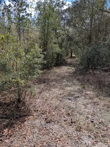 0 SW 90th Street Dunnellon FL 34432