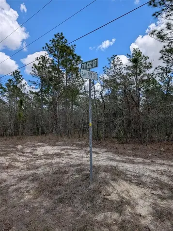 0 SW 90th Street Dunnellon FL 34432